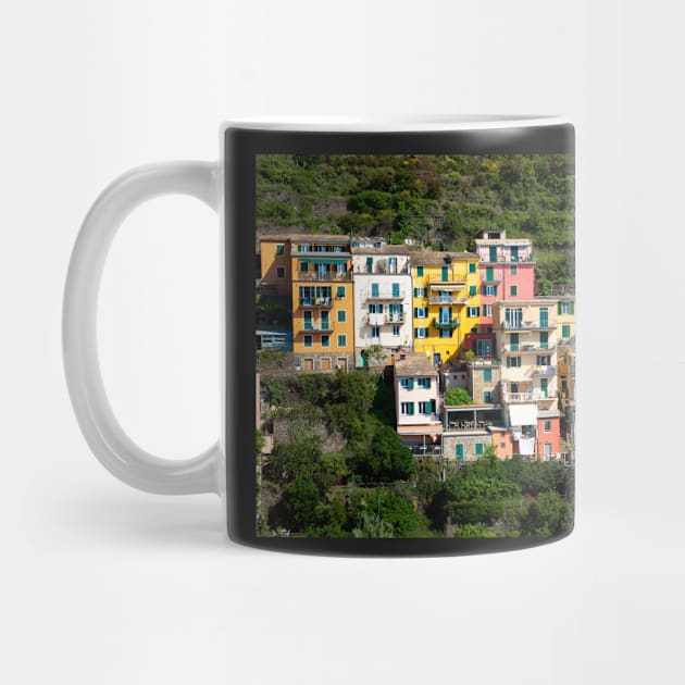 View on the cliff town of Manarola, one of the colorful Cinque Terre on the Italian west coast by Dolfilms